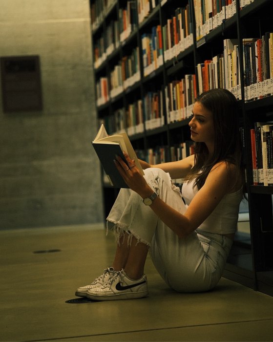 Sophia Gang_dimodels