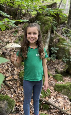 Ida-preview-image-18414