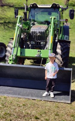 Raphael-preview-image-18605